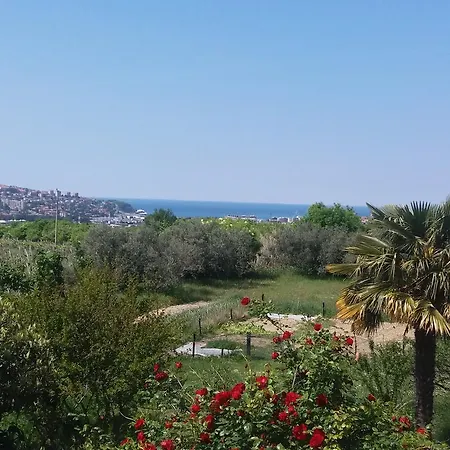 Peaceful View Apartment Koper Exterior photo