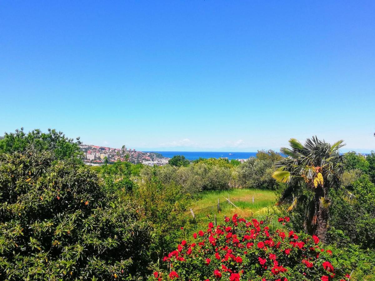 Peaceful View Koper