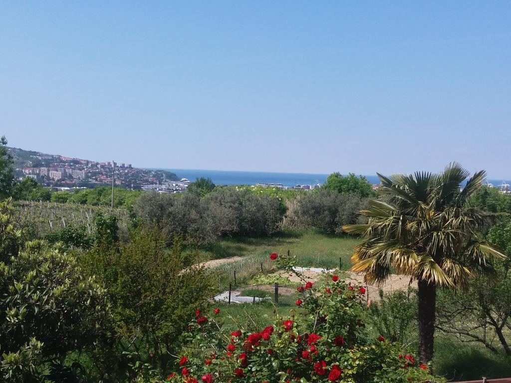 Peaceful View