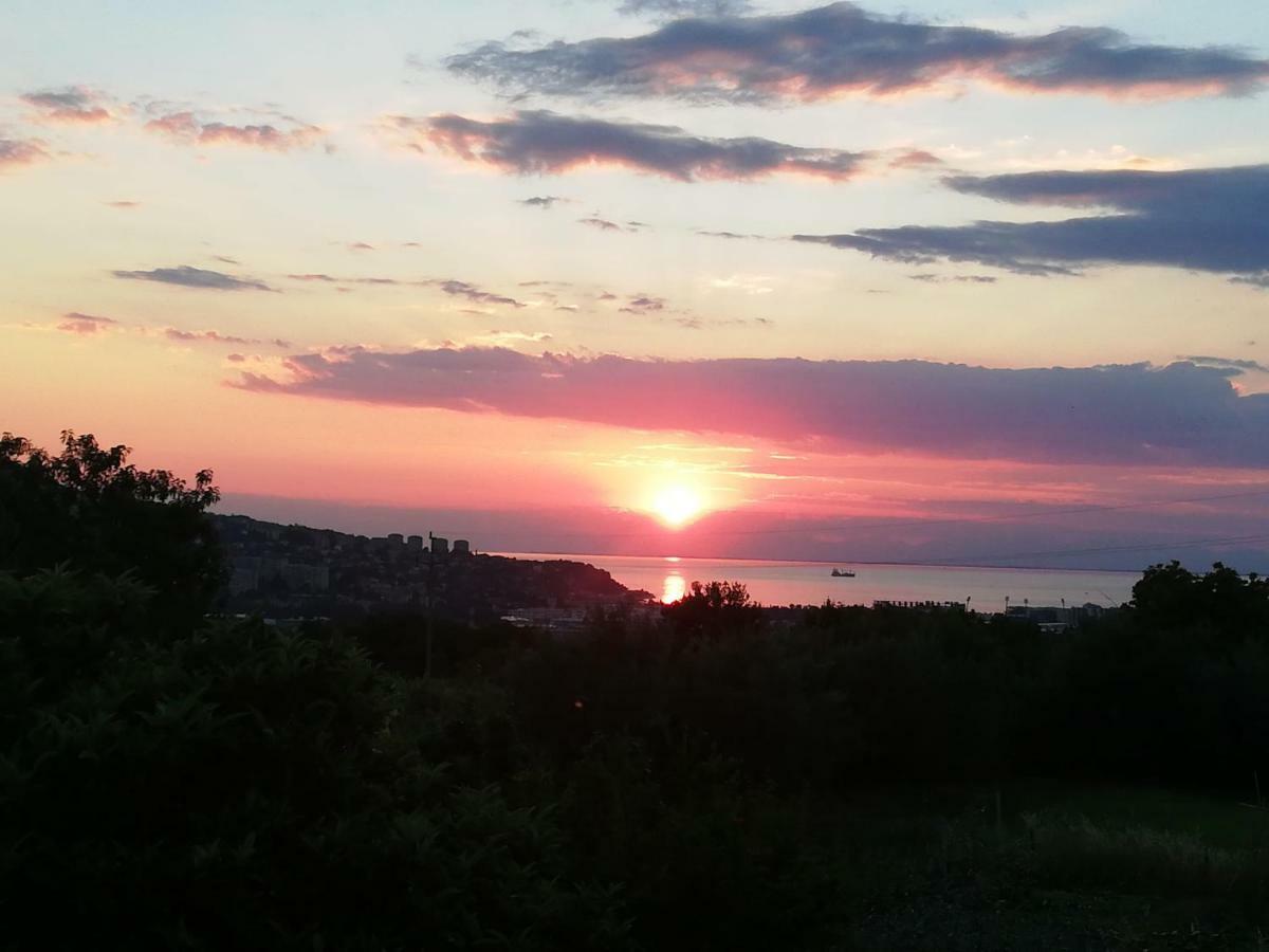 Peaceful View * Capodistria